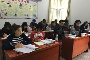 国际教育学院留学生学习与文化体验活动策划方案